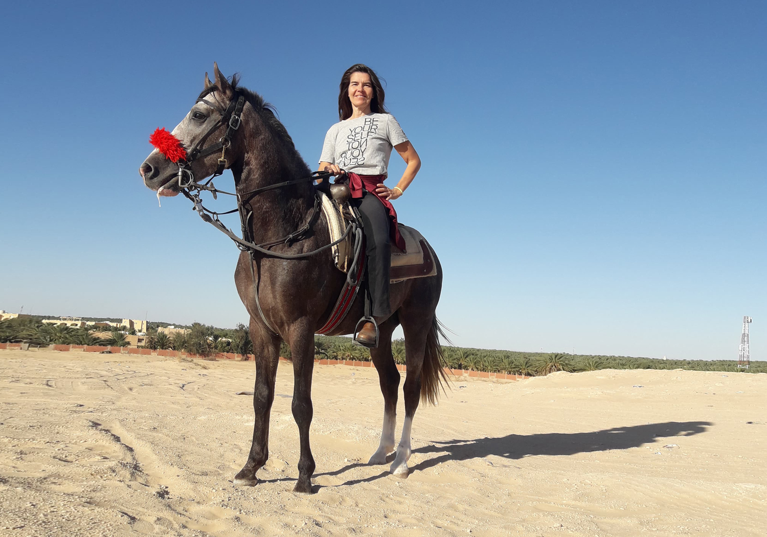 mein Pferd in Tunesien